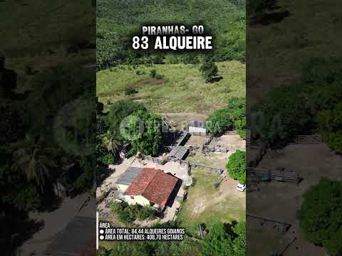 PIRANHAS - GO 🔥   - Para mais informações, fotos e valores me chama no direct ou WhatsApp 📲