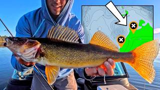 The BEST Walleye Spot on Every Lake (Very High % Location)