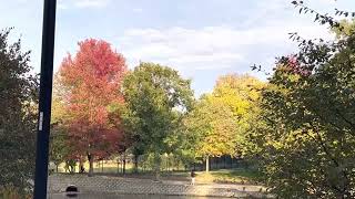 Lords Park Elgin IL