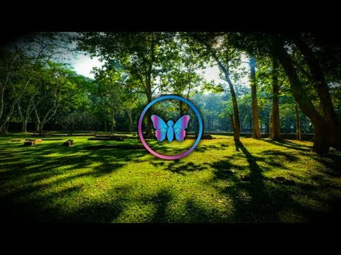 4 Hours Of Calm Relaxing Birds Singing | Peaceful Birdsong & Tranquil Birds Chirping | Nature Sounds