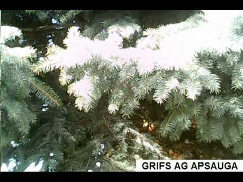 Apsauginis MINUSAS.GRIFS AG APSAUGA SAUGO SUPERNETTĄ - atsiranda graffiti.