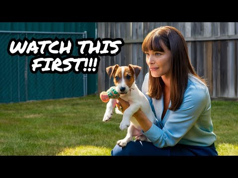 Watch This Before Getting a Jack Russell Terrier in 2025