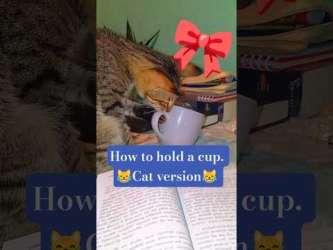 Cat doing cat things😹#funnycatvideo #animeshorts #happycats #studypartner #virulshorts