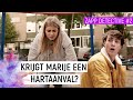 HARTKLOPPINGEN | Zapp Detective #2 | NPO Zapp