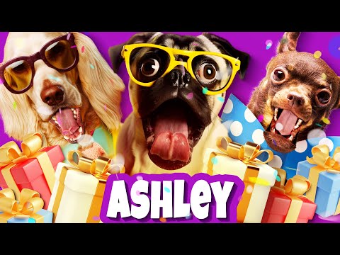 Crazy Dogs Wish ASHLEY a Happy Birthday - Join the Fun! 🥳