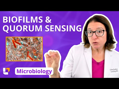 Biofilms & Quorum Sensing: Microbiology Pre-Nursing, Pre-Med & Health Field Careers | @LevelUpRN