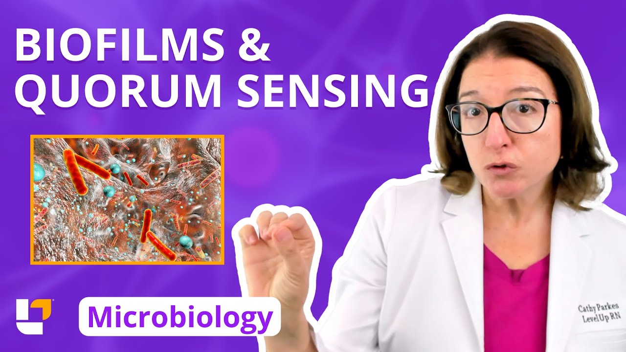 Biofilms & Quorum Sensing: Microbiology Pre-Nursing, Pre-Med & Health Field Careers | @LevelUpRN