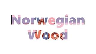 Norwegian Wood (노르웨이 숲) - NICE