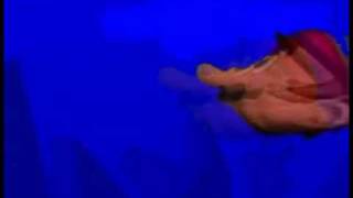 Cover art for Mario's head tylenol