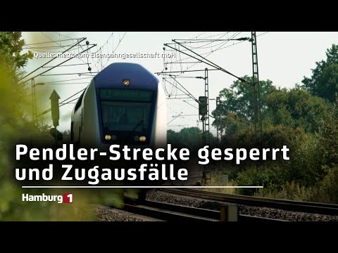 Metronom: Zugausfälle wegen Krankenstand und Baustellungsperrung bis Ende Oktober