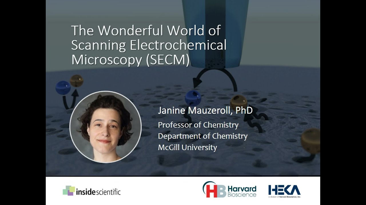 SECM Fundamentals & Applications