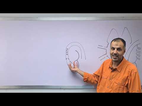 Cardiology - Heart failure lec 1 - Dr Mahmoud Allam