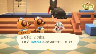 カブ価524ベルを無償で開放中！「往復OK」「視聴者参加型」「あつまれどうぶつの森」