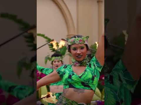 Promotional video thumbnail 2 for Dakini Ent.
