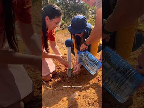 AÇÃO AMBIENTAL MARCA TRANSFORMAÇÃO DE ÁREA DEGRADADA EM MONTES CLAROS DE GOIÁS