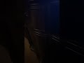 Backyardigans Part 18