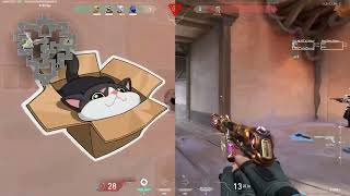 One Trick Pony using the OPerator(ep25-5)