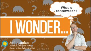 I Wonder - What is conservation? | Smithsonian Institution