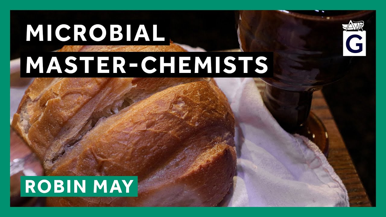 Microbial Master-Chemists