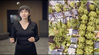 Satellite images: giving computers better eyes for tree mapping