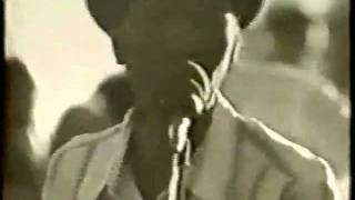 Hound dog taylor: Shake your moneymaker