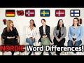 German and Nordic Language How Similar Are They? (Germany VS Norway, Sweden, Denmark, Finland)