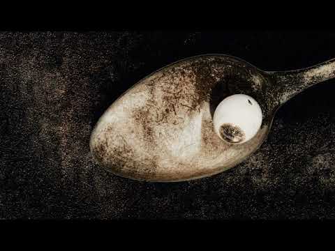 Videoclip de Manta Ray — Pixies