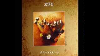 XTC - Ballet for a Rainy Day - Skylarking 2010