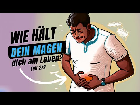 Anatomie 2go -  Der Magen 2 (kurz erklärt)