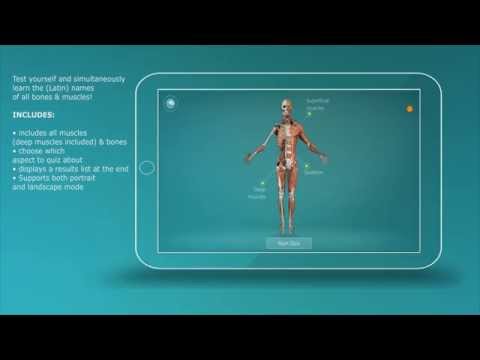 3D Human Anatomy Quiz Video