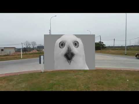 Por los pasos del noroeste Canario. Paso Juan Chazo, Paso del Sordo, Paso Pache, Paso Cuello...