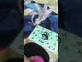 Arthur Funding Credits 3