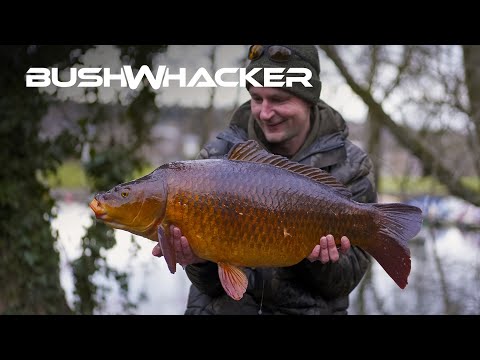 USE YOUR HEAD TORCH TO FIND AND CATCH CARP! Light ‘em Up - Oli Davies