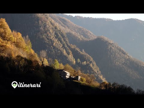 ITINERARI: 3000 GRADINI PER ARRIVARE A CODERA, IL PAESE SENZA STRADA.CII E LE GALLINE CON LE MUTANDE