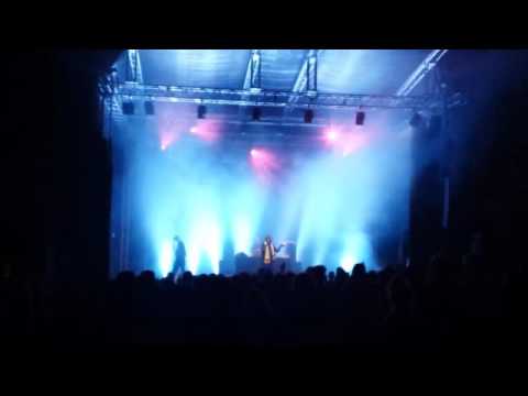 Vibronics Feat Parvez1