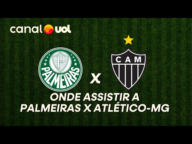 Jogo do Palmeiras hoje (20) pelo Brasileirão: horário e onde assistir ...