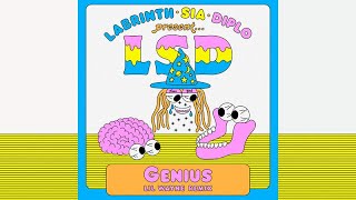 Download lagu LSD - Genius (feat. Lil Wayne) [Extended Mix] mp3