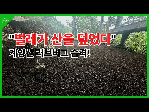 아이콘
