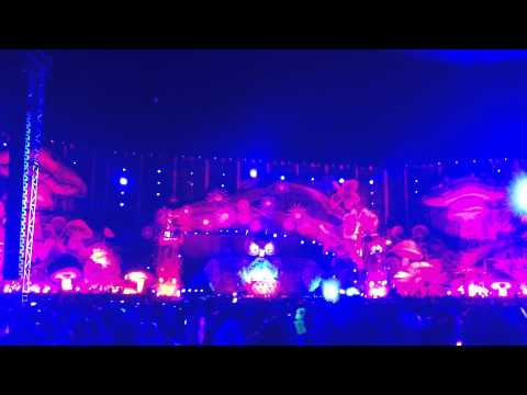 Eric Prydz Intro EDC 2013