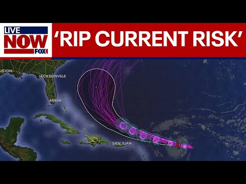 Video | Tropical Storm Erin nears hurricane strength | LiveNOW from FOX