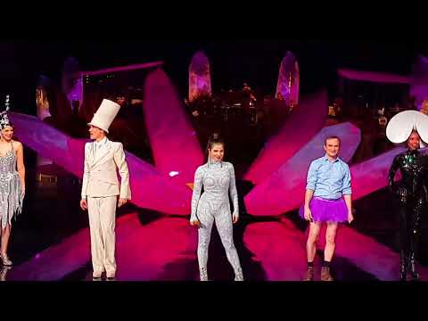 VIVID Grand Show Finale   ©️ Norbert Preis