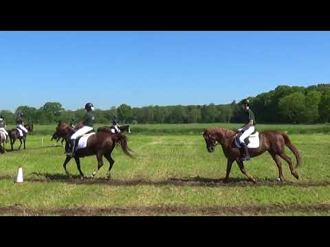 8Tal Licht (1) 06/05/2018 Baarle Hertog LRV