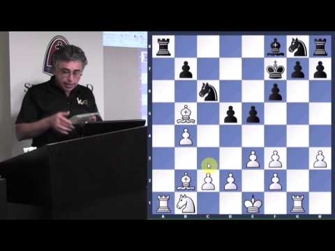 Analyze This! | The Orangutan - GM Yasser Seirawan - 2014.03.11