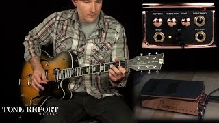 Video thumbnail for Ernie Ball Expression Series Ambient Delay by ProGuitarShopDemos