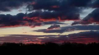 Ass Ponys   Nothing Starts Today