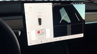 Tesla Camera Stuck on Black Screen