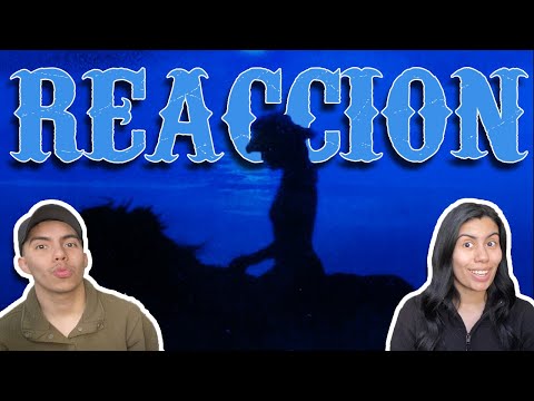 REACTION II Regulated Force X Border Group - Coqueta