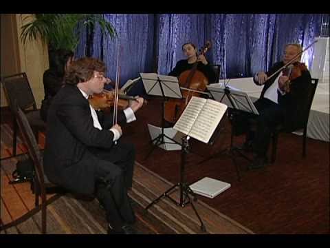 Promotional video thumbnail 3 for Edgar Gabriel - Violinist