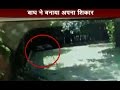 Live Video White Tiger Kills Class 12 Student At Delhi Zoo Part 2