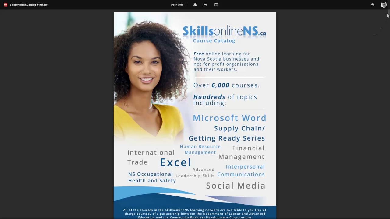 SkillsOnlineNS- Private Learning Networks